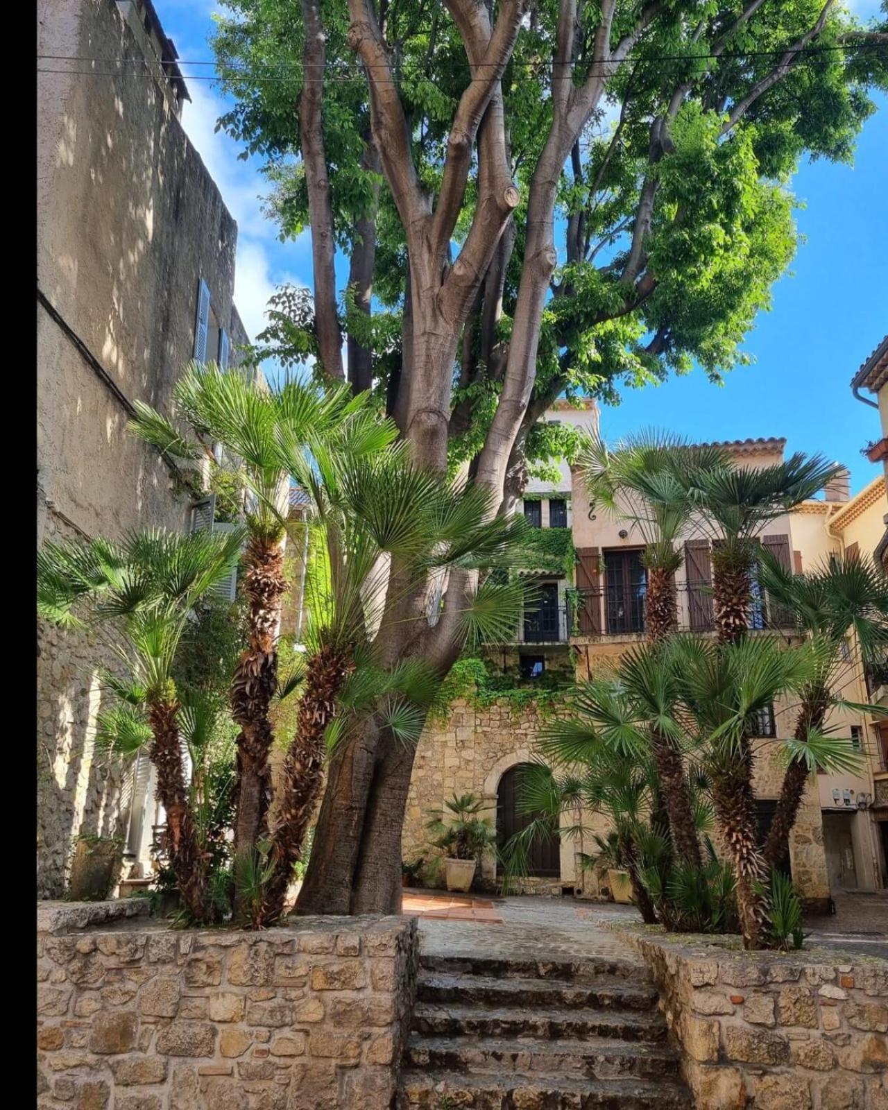 06An - Beautiful Apartment In The Heart Of Old อองทีบส์ ภายนอก รูปภาพ